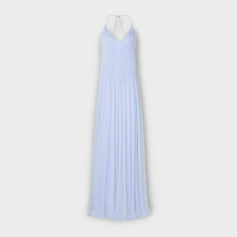 Haydin Maxi Dress in Hydrangea
