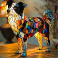 Piiri Collie Dog